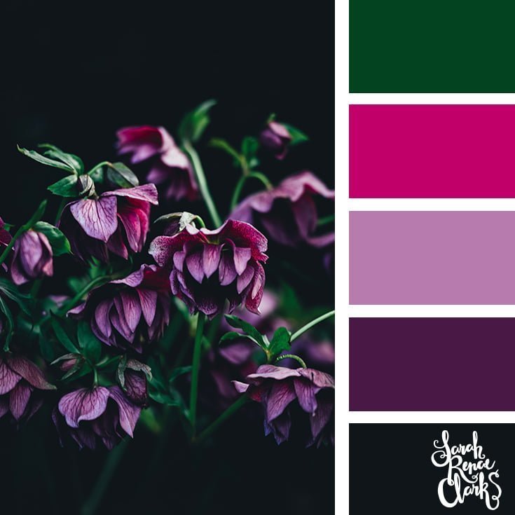 Purple floral arrangement // 25 Floral Color Palettes