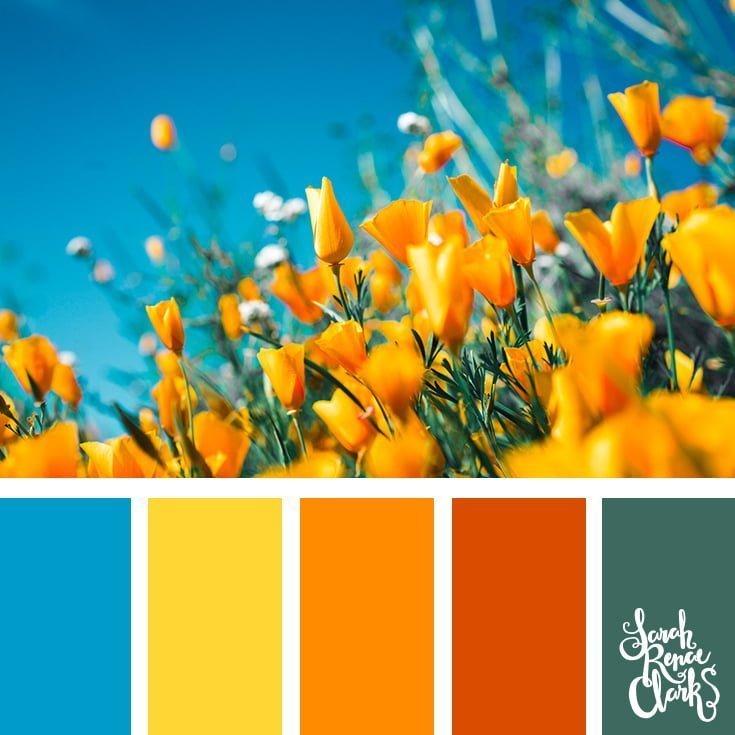 Yellow tulips // 25 Floral Color Palettes