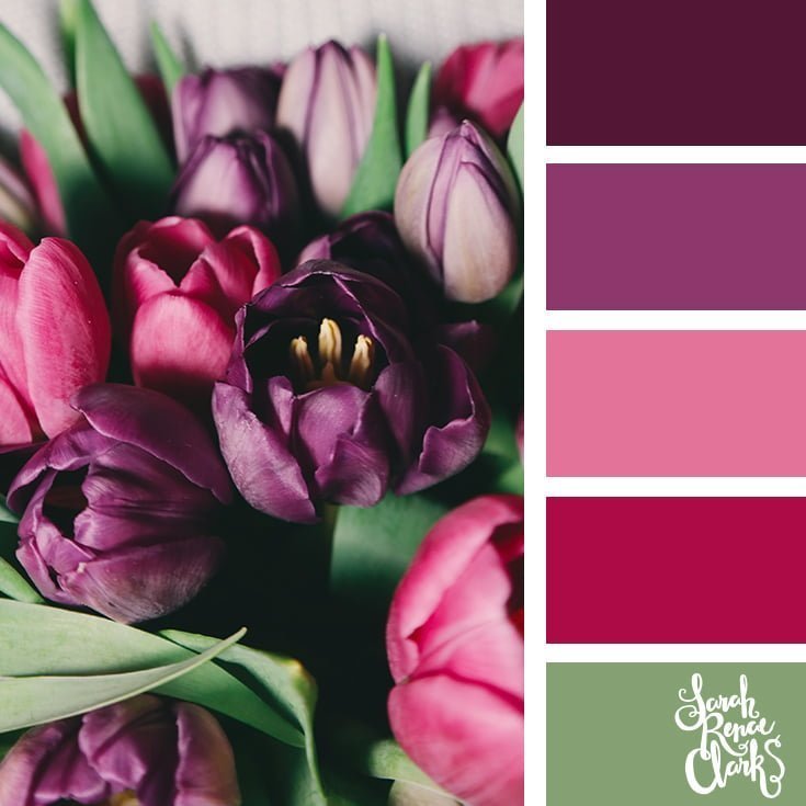 Purple tulips // 25 Floral Color Palettes