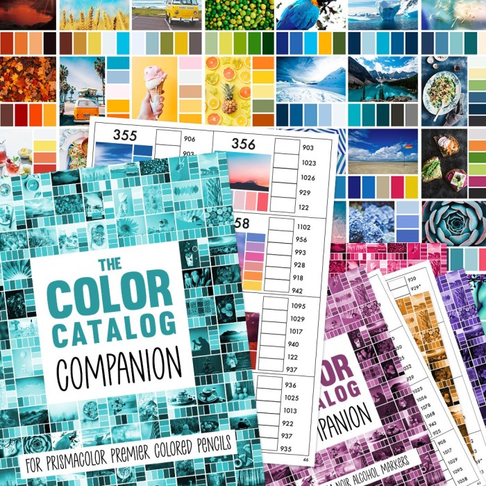 WinmetEuro Quadro com classificação de cores, 360° Mellow 12 cores