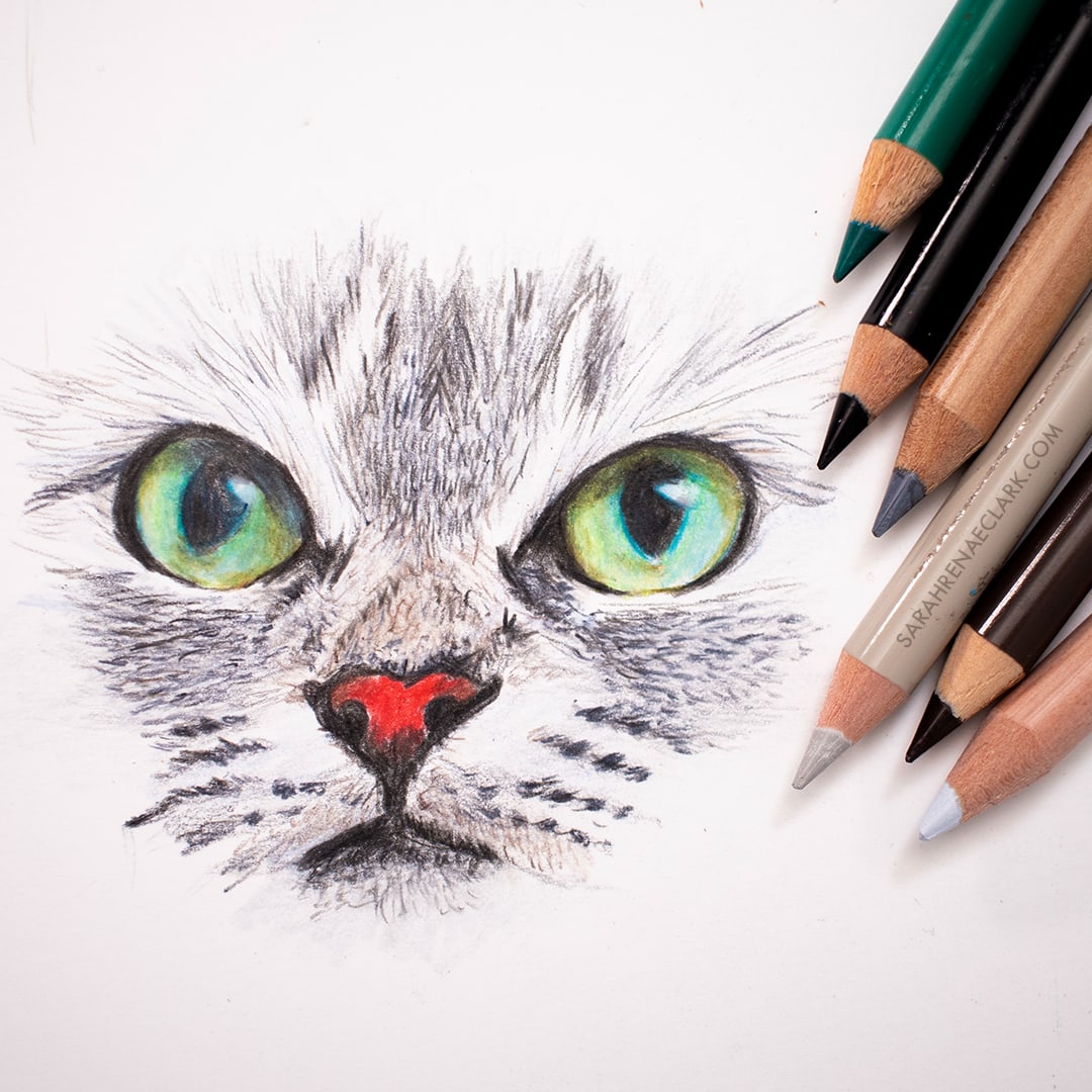 Drawing Cat #1877 (Animals) – Printable coloring pages