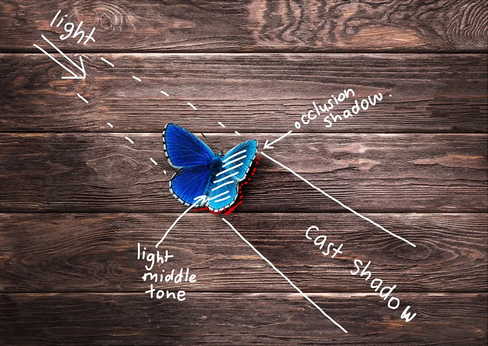 Diary Of A Butterfly Cast