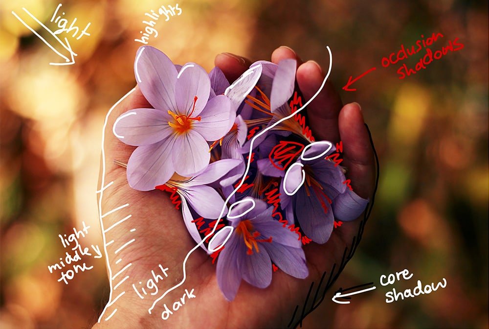 Example of occlusion shadows on flowers