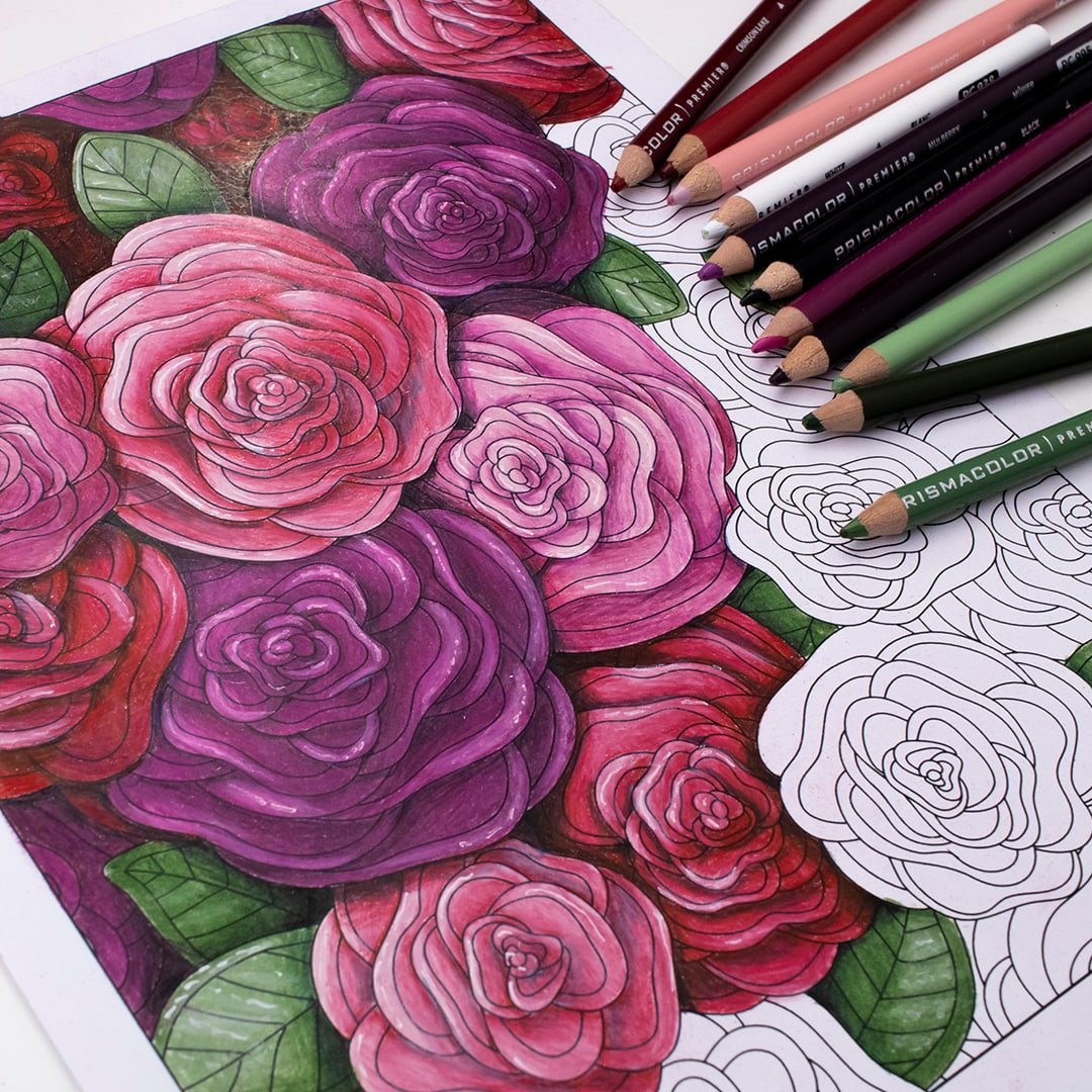 Colored Pencils with Adult Coloring book- Colored Pencils for