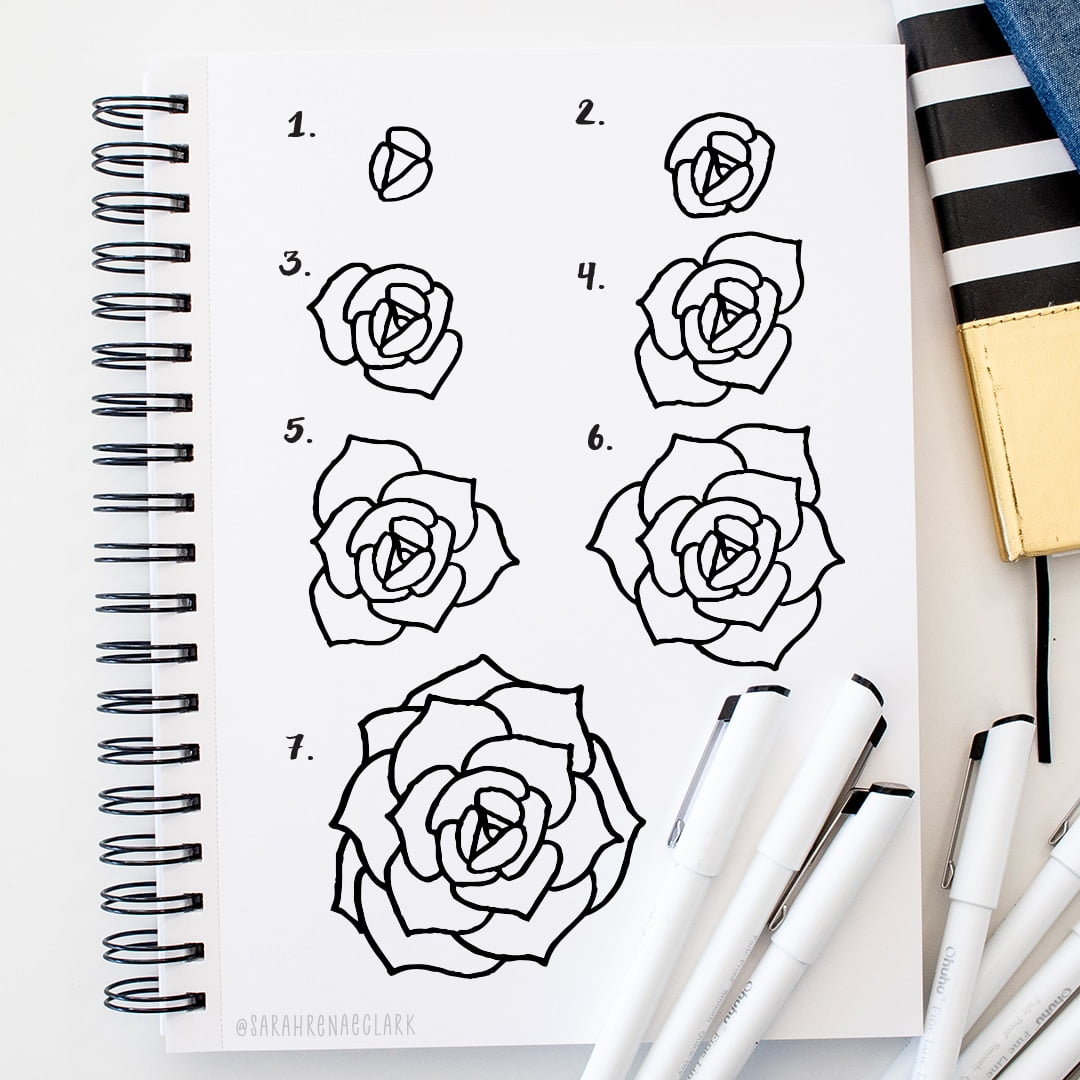 Step By Step Guide To Drawing Succulents
