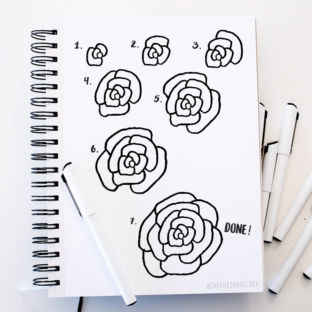 easy rose drawing steps