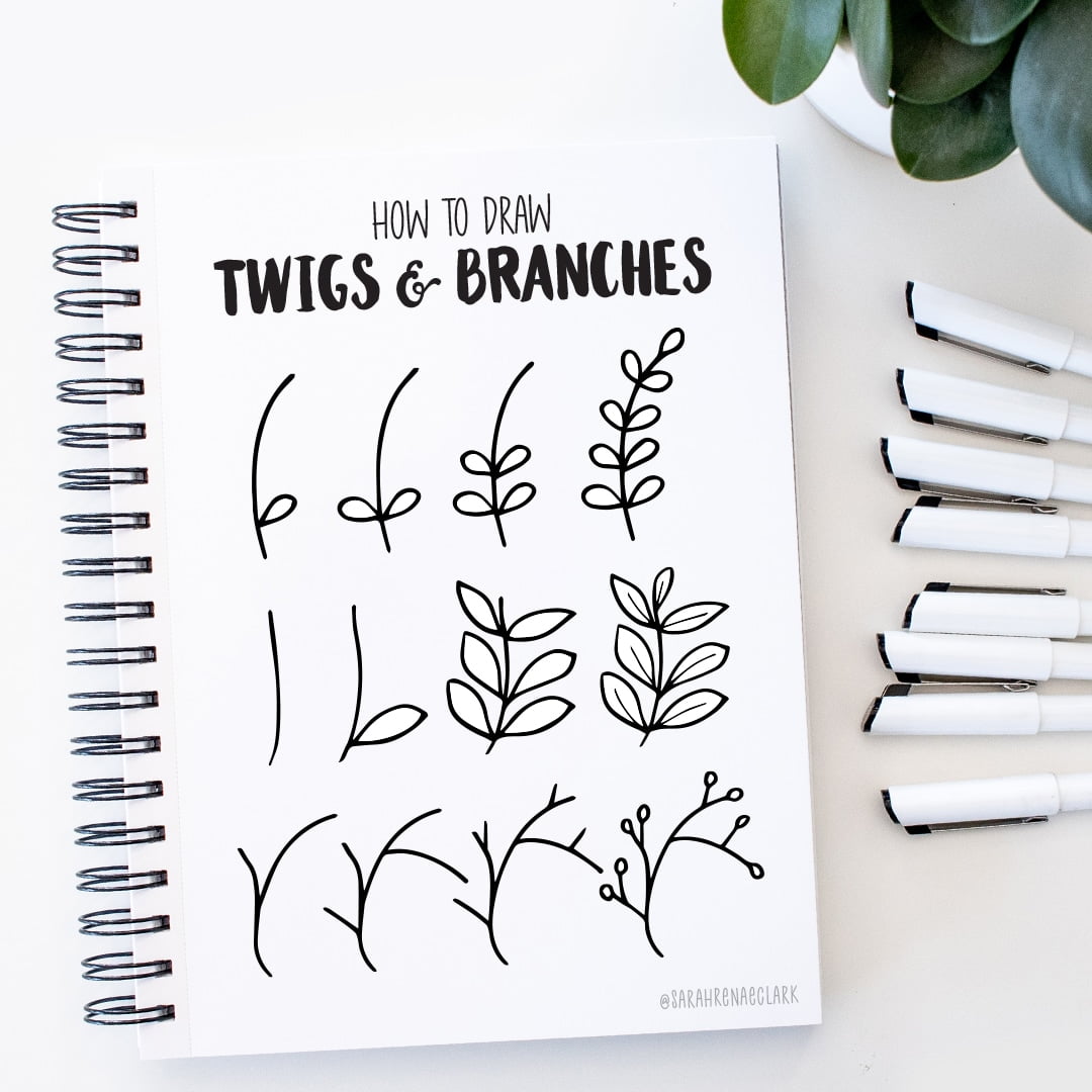 How To Draw Twigs and Branches