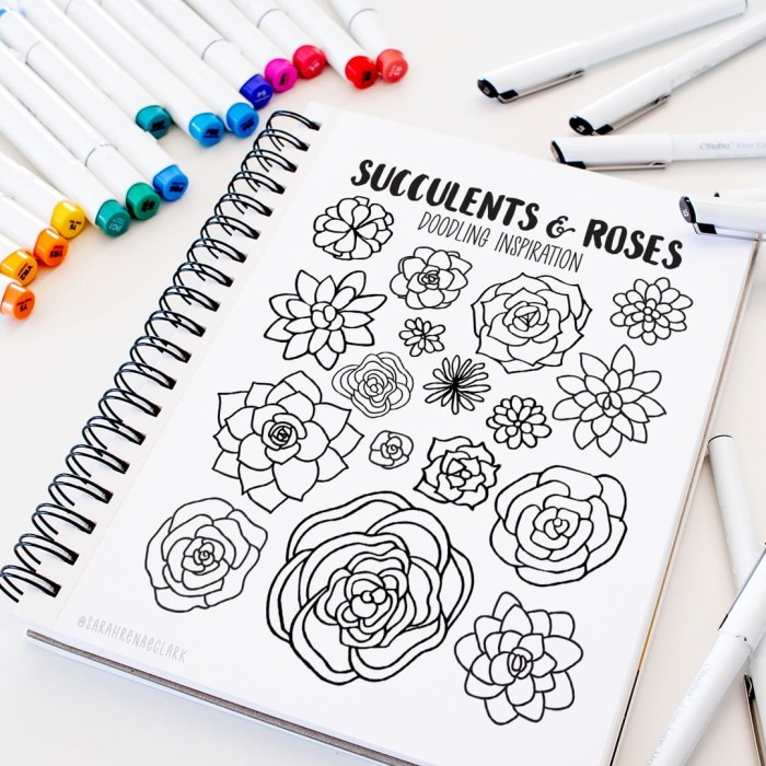 Succulents, roses and floral doodling ideas