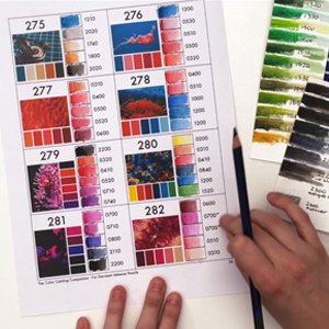 Swatching color palettes