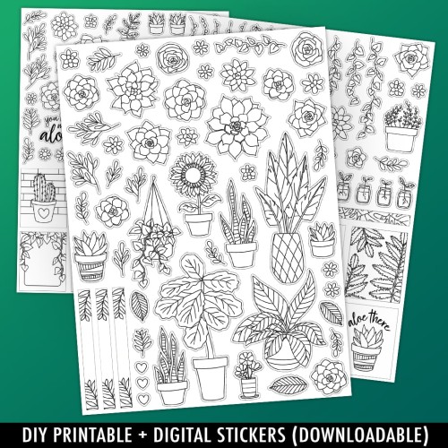 500+ botanical stickers… what can I do with these? Any ideas?? : r