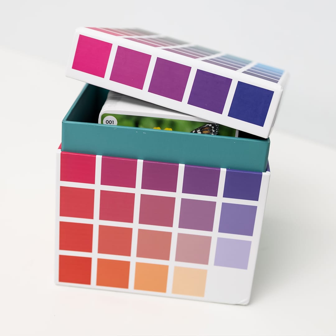 Lingüística pintor Mariscos Color Cube Volume 2 - Color Palette Cards
