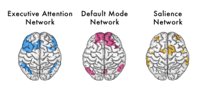 The three networks that make up the brain: Executive Attention Network, Default Mode Network and Salience Network