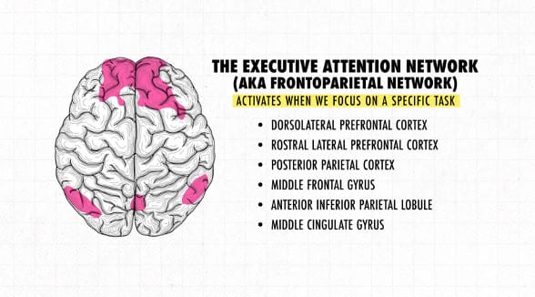 The Executive Attention Network part of the brain helps with Creativity.