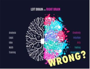 The theory you have heard about the left and right brain are WRONG!! I went into the fact about how creativity happen throughout the entire brain.