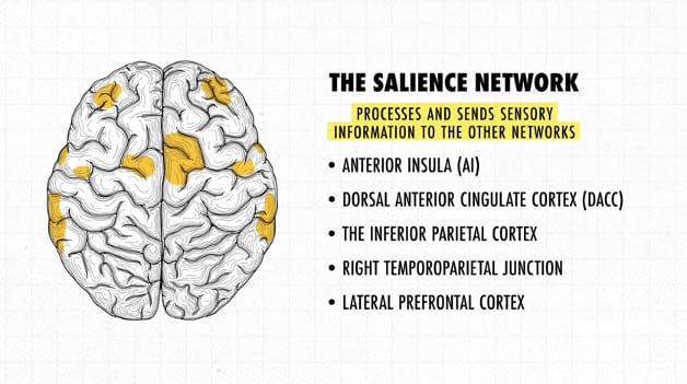The Salience Network 
