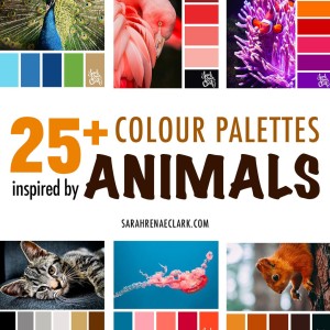 25+ Colour schemes inspired by the animal kingdom.