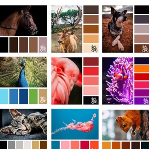 Here is a blog of 25+ colour combinations inspired by Animals.