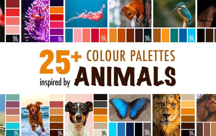 25+ colour ideas to inspire your next animal art project