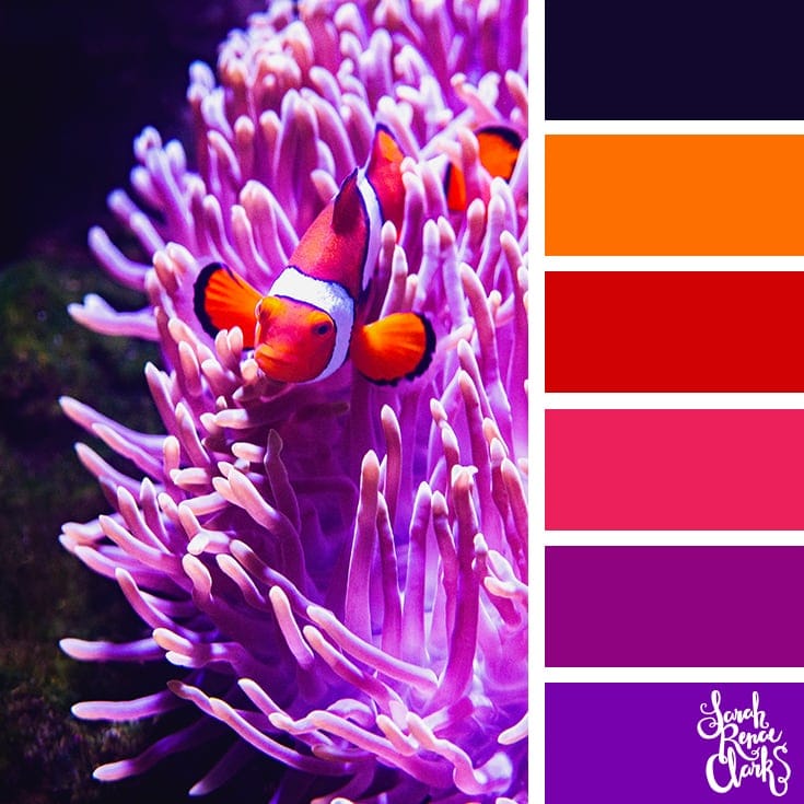 here are 25 free color palettes inspired by the animals in the sea. 