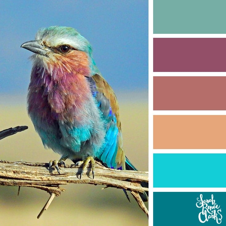 25+ Animal inspired color ideas