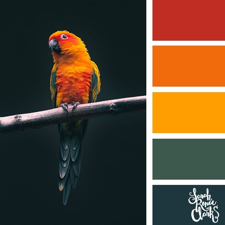 25+ animal inspired colour schemes for your next artwork