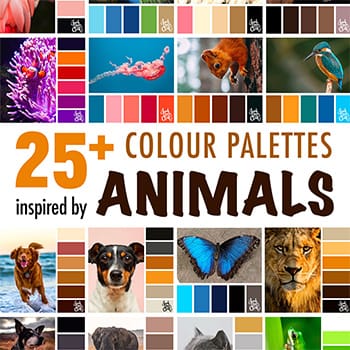 25+ Animal Colour schemes for inspiration.